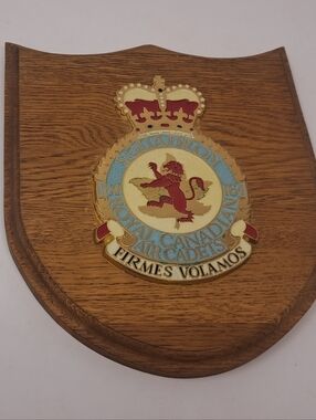 Royal Canadian Air Cadets Squadron 164 Vintage Wood Plaque Armed Forces Military